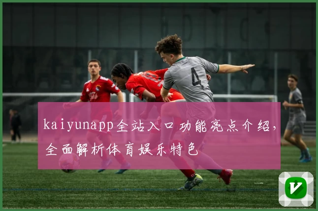 kaiyunapp全站入口功能亮点介绍，全面解析体育娱乐特色