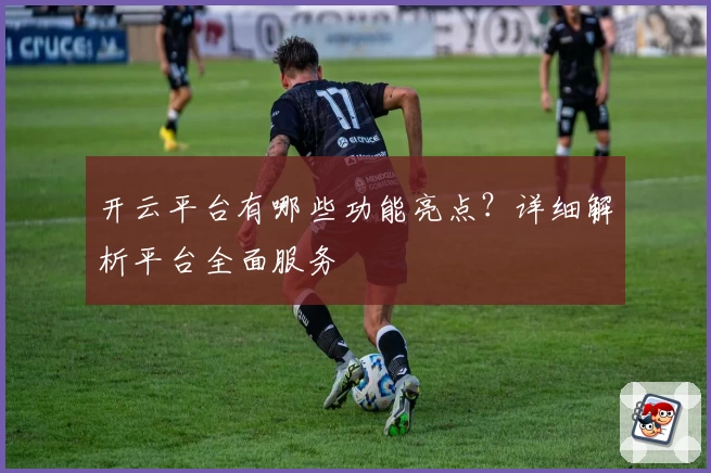 开云平台有哪些功能亮点？详细解析平台全面服务