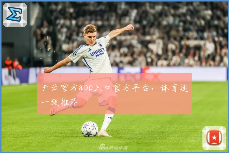 开云官方app入口官方平台，体育迷一致推荐