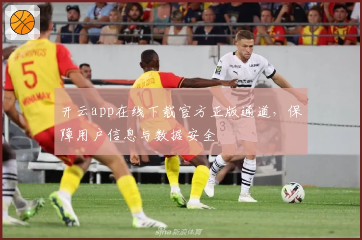 开云app在线下载官方正版通道，保障用户信息与数据安全