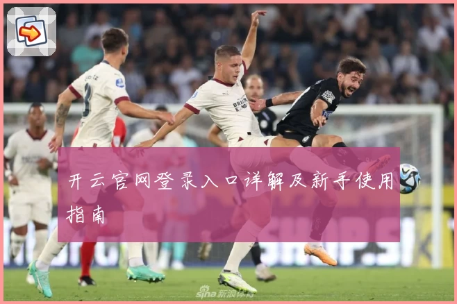 开云官网登录入口详解及新手使用指南