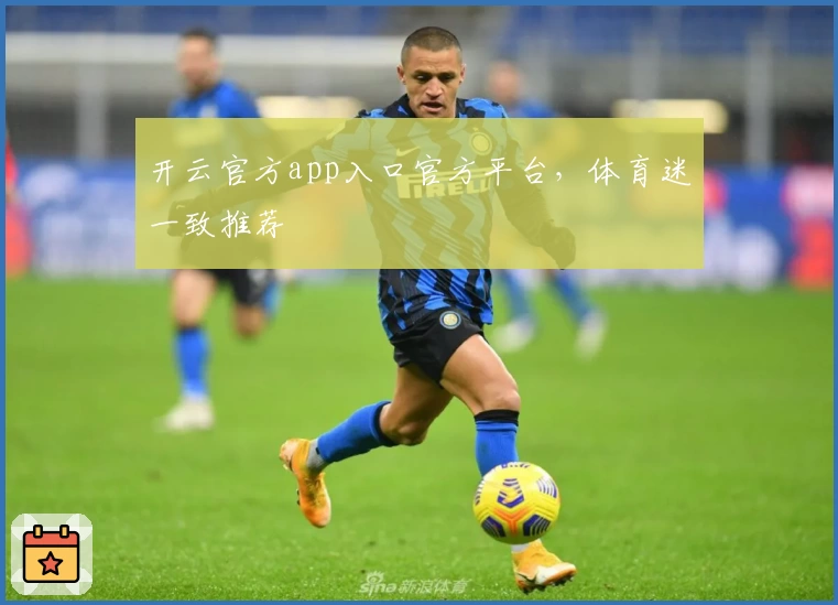 开云官方app入口官方平台，体育迷一致推荐