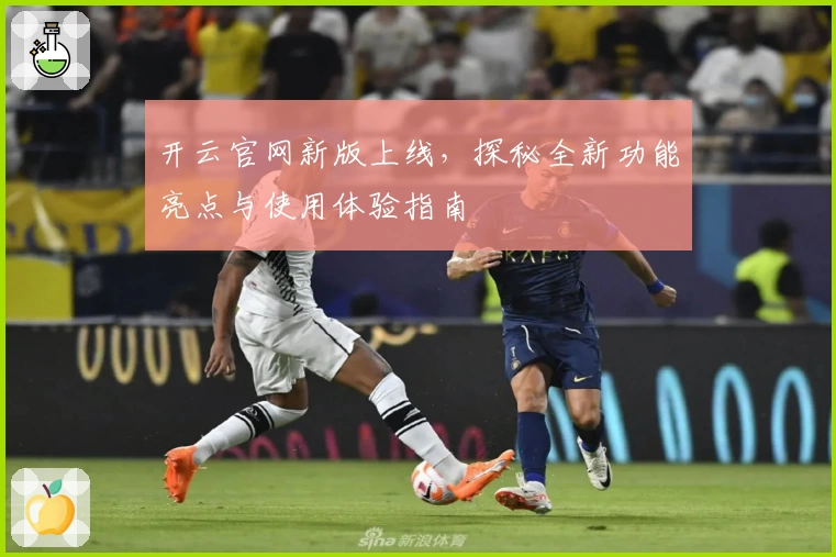 开云官网新版上线，探秘全新功能亮点与使用体验指南