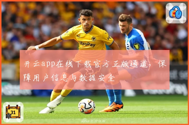 开云app在线下载官方正版通道，保障用户信息与数据安全